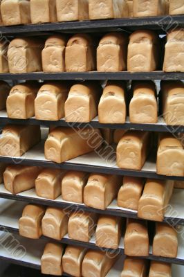Bakery bread