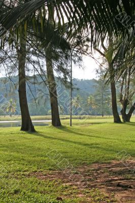 Golf landscape