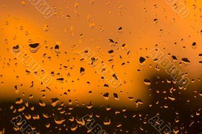 Abstract orange water drops background