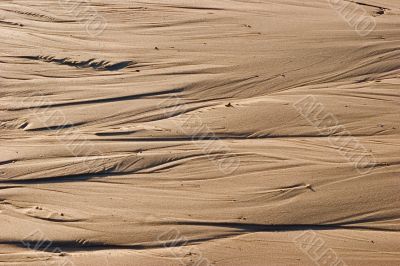 Damp sand Damp sand
