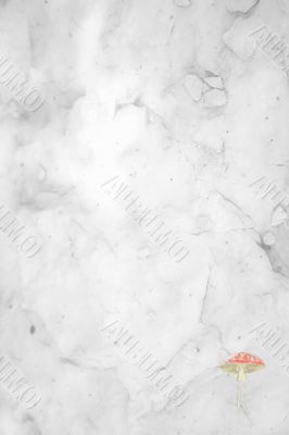 Victorian Floral Paper