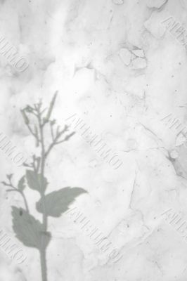 Victorian Floral Paper