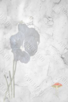 Victorian Floral Paper