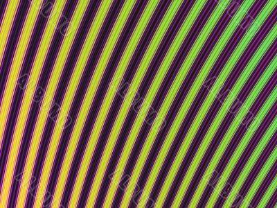 Purple Curves Purple Curves