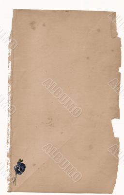 Antique Floral paper