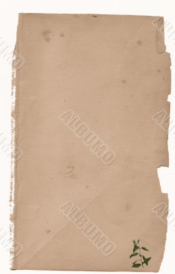 Antique Floral paper