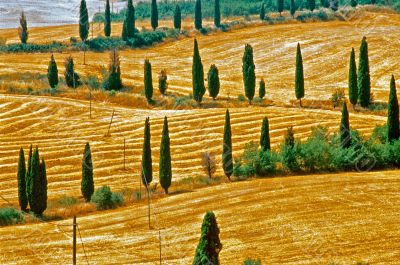 Val d Orcia 11 Val d Orcia 11