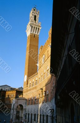 Siena 3