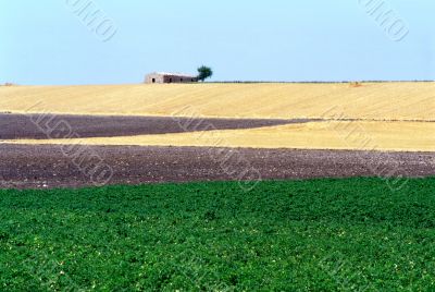 Tavoliere delle Puglie 3