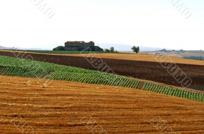 Verso Melfi Verso Melfi