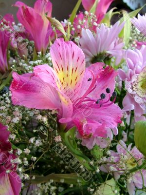 The different types of one bouquet 22