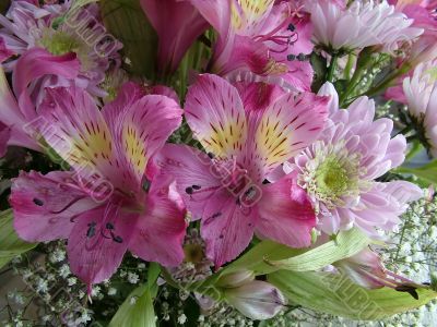 The different types of one bouquet 19