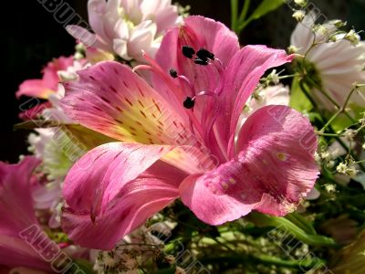 The different types of one bouquet 8