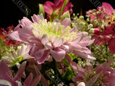 The different types of one bouquet 4