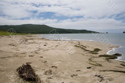 Beach with tracks and dry seaweed