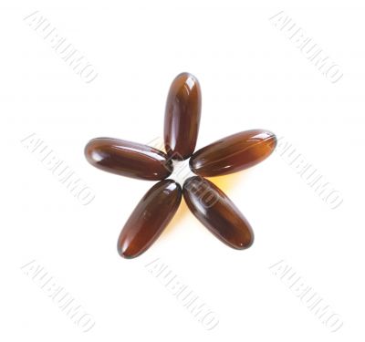 Flax Seed Capsules in a Star Pattern