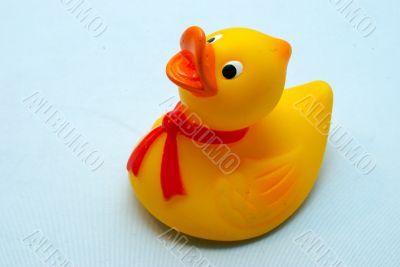 rubber ducky