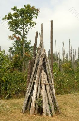 Small Shelter Made from Branches