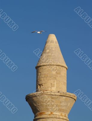 seagull over a minaret seagull over a minaret