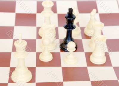whites won the chess party