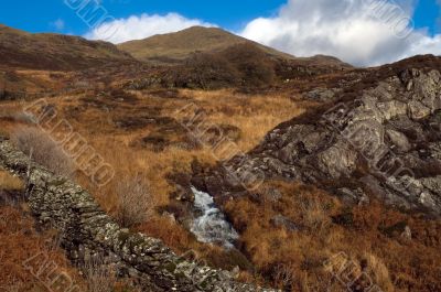 Yr Aran Yr Aran