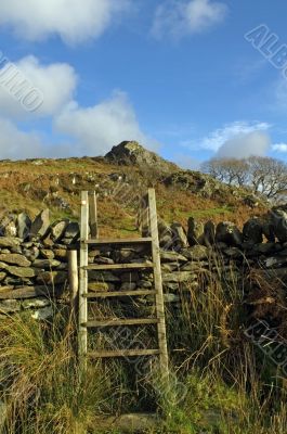 Yr Aran Yr Aran