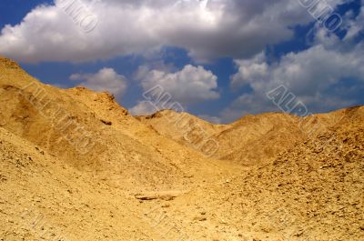 desert landscape - bright light