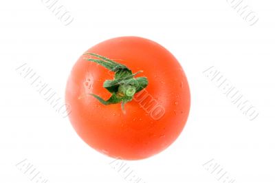 Top of tomato isolated on white