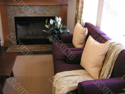 Sofa and Fire Place