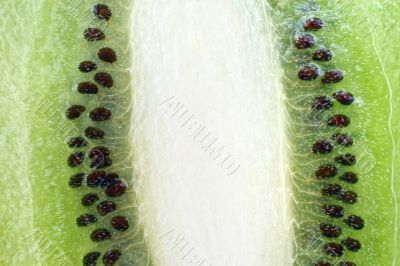 inside a kiwi inside a kiwi