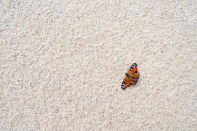 touch of colors on sand