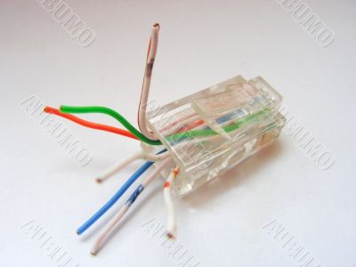 Rj45 With White Back
