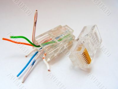 Rj45 With White Back