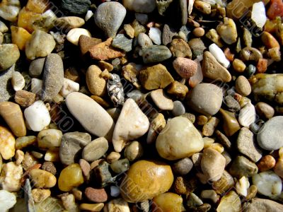 loose stones and gravel texture
