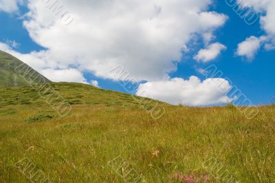 Landscape in Mountain Landscape in Mountain