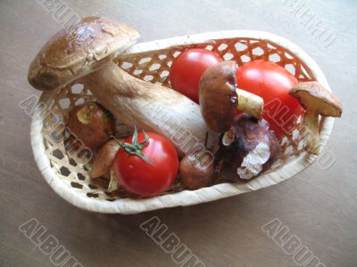 still life with mushrooms and tomatoes