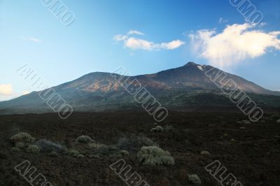 Mount Teide