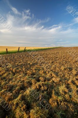 agricultural landscape