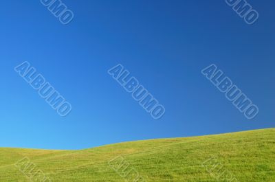 agricultural landscape