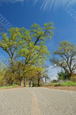 biking trail