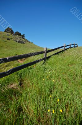 Mt Tamaplais Trail