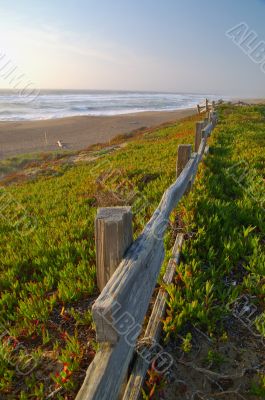 Point Reyes Seashore