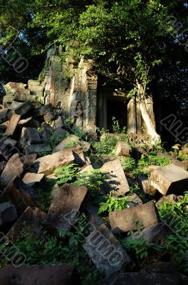 Ruin at Beng Mealea, Cambodia