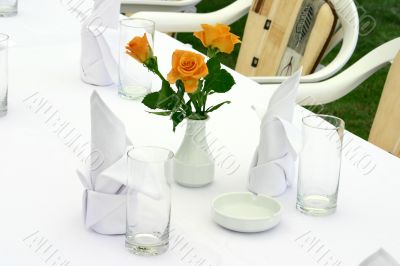 White tableware and roses