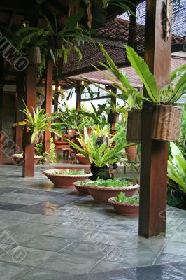 Balinese furniture