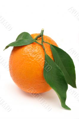 Orange with leaves