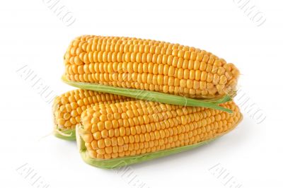 Corn on the cob