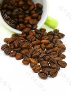 Coffee beans cup on white background Coffee beans cup on white background
