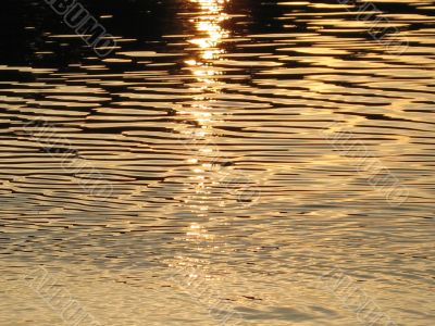 the path of the light on the water waste