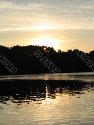 trees hiding the sun